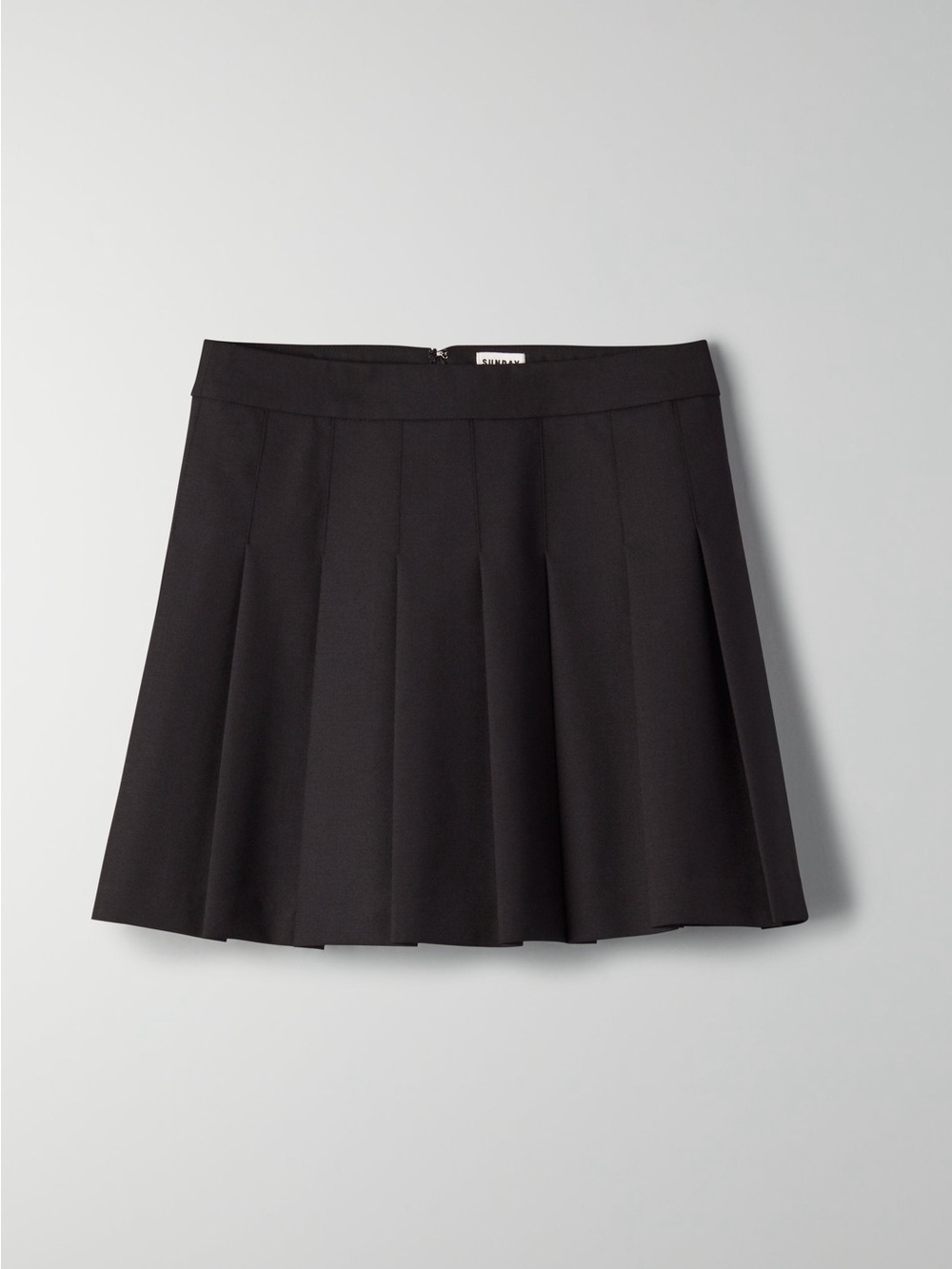Aritzia • Sunday Best pleated mini skirt